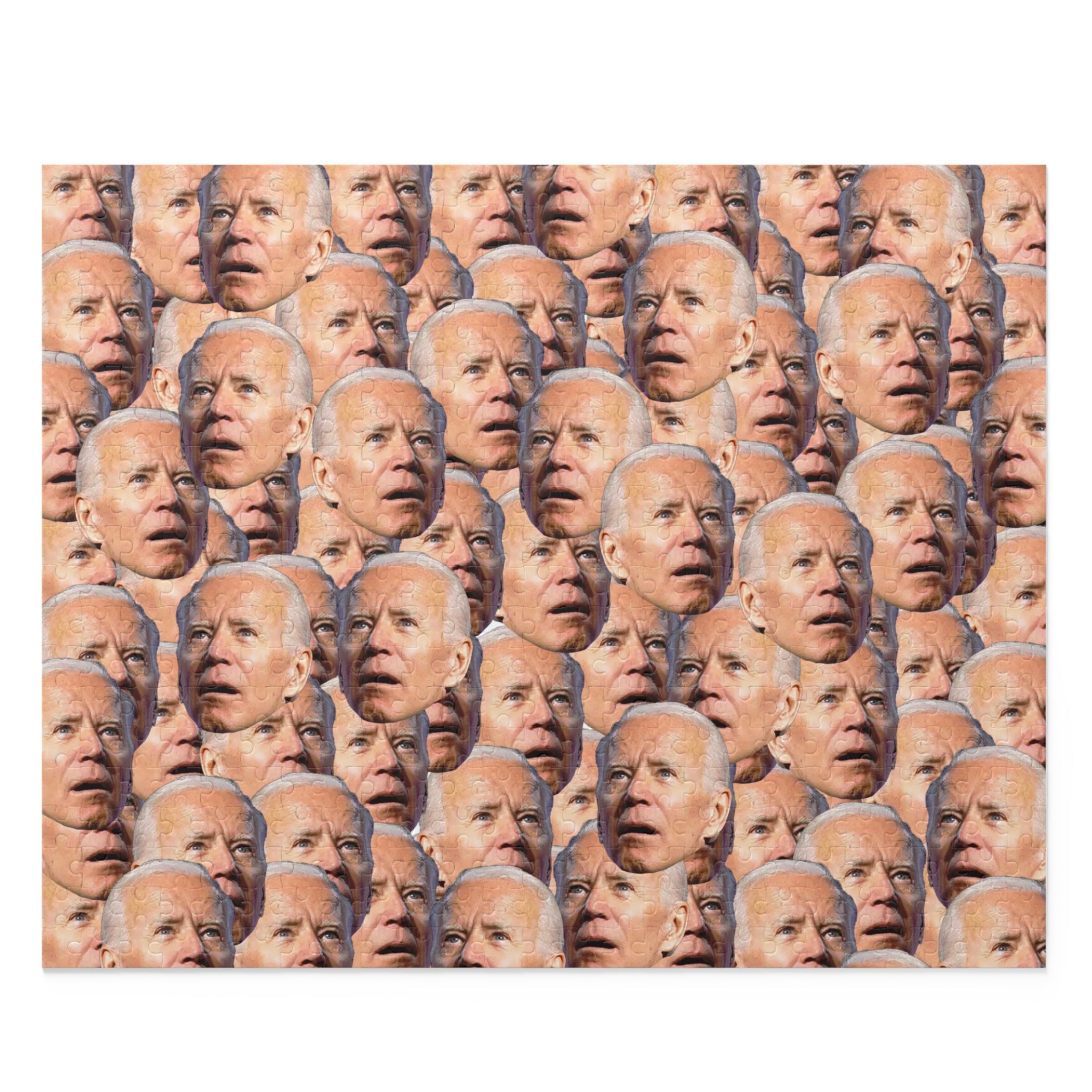 JOE BIDEN - WHERE AM I PUZZLE